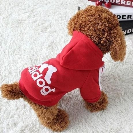 🐶 Adidog Pet Dog Hoodie | Warm, Stylish & Super Comfortable