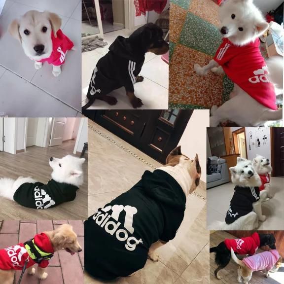 🐶 Adidog Pet Dog Hoodie | Warm, Stylish & Super Comfortable